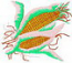 3x3 Large Corn